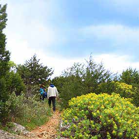 Vandringsleder på Sifnos
